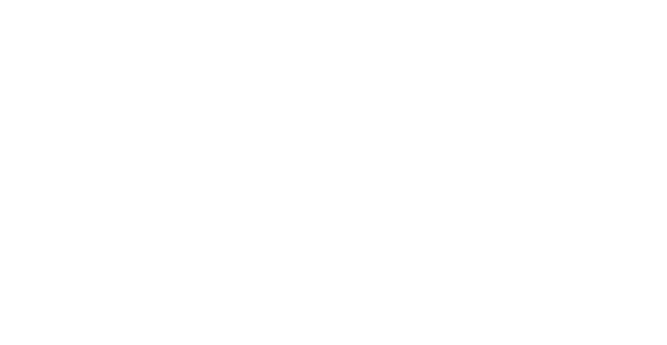 DMI-logo-white.png